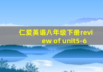 仁爱英语八年级下册review of unit5-6